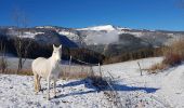 Randonnée Marche nordique Saint-Nizier-du-Moucherotte - St Nizier: Le Corba, Ferme Charvet - Boucle 8,5 km - Photo 1