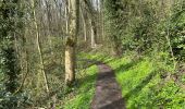 Trail Walking Heuvelland - Dranouter 12,3 km - Photo 8