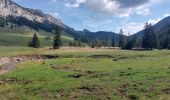 Trail Walking Fillière - plateau des Gliéres par le pas du Roc - Photo 5