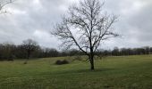 Excursión Senderismo Gesves - Randonnée dans la vallée du Samson - Photo 14