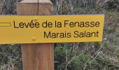 Trail Walking Les Portes-en-Ré - reco pour j 2 Fred - Photo 2