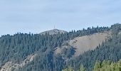 Tour Wandern Verdaches - VERDACHE.  Charcherie  , balade du Pré des Bois , cabane des bœufs  , o ĺ s - Photo 1