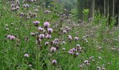 Tocht Stappen Sprimont - 20210802-Autour de Florzé - Photo 9