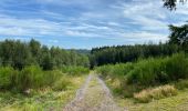 Randonnée Marche Viroinval - Oignies en Thierache 20,7 km - Photo 1