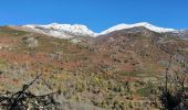 Tour Wandern Vèbre - rocher de Courbas - Photo 5