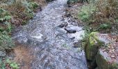 Trail Walking Caudan - PR_56_Caudan_AA_01_Tro-Glas-Kaodan_Circuit1b_20231112 - Photo 4