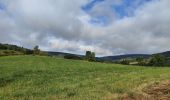 Tour Wandern Chalmazel-Jeansagnière - Au dessus de Chalmazel  - Photo 18