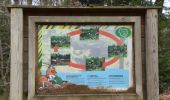 Trail Walking Eupen - 20250224 - Eupen 7.4 Km - Photo 7