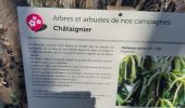 Trail Walking Châteauneuf-sur-Isère - le chemin des carriers à Châteauneuf-sur-Isère - Photo 17