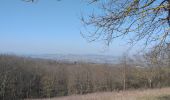 Trail Walking Chasselay - Chasselay chemin de Fromentin vers Limonest Mt Verdun - Photo 12