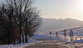 Tour Zu Fuß Prignano sulla Secchia - Il Blinghero - Monte Santa Giulia - Croce di Costrignano - Photo 1