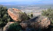 Percorso Marcia Roquebrune-sur-Argens - Cimetière Roquebrune / Argens - La Maurette - 3 Croix - Grotte de l'Ermite - Photo 5