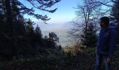 Tocht Stappen Séchilienne - Lac de Luitel - Pic de l'oeilly  - Photo 1