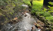 Randonnée Marche Trooz - Magnée par Saint-Hadelin - Photo 2