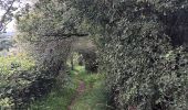 Trail Walking Comblain-au-Pont - poulseur . chanxhe . fays . monfort . poulseur - Photo 8