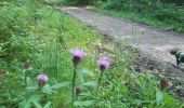 Tour Wandern Paliseul - jelly avec marraine tonton  - Photo 12