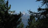 Tocht Te voet Valtournenche - (SI F16) Rifugio Barmasse - Valtournenche - Photo 8