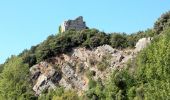 Tour Zu Fuß Gaiole in Chianti - Trekking tra i castelli 7 - Photo 5