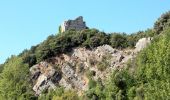 Tocht Te voet Gaiole in Chianti - Trekking tra i castelli 6 - Photo 1