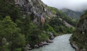 Tour Wandern Rougon - Rancoumas - Photo 13