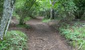 Excursión Senderismo Ceyssat - Du Puy-de-Dôme au Pariou - Photo 1