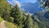 Trail Walking Saint-Gervais-les-Bains - J15 - R14 - Bellevue - Col de Voza - Bionnassay - Le Planet - L'Are - Photo 3