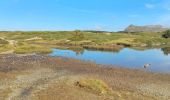 Trail Walking Ornon - Plateau des lacs - Photo 9