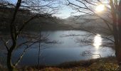 Tour Wandern Stablo - rando autour du lac de Coo - Photo 3