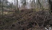 Excursión Senderismo Le Poizat-Lalleyriat -  le chemin de l'écureuil - Photo 9