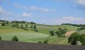 Tour Wandern Saint-André-la-Côte - Le signal - Photo 9