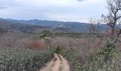 Percorso Marcia Trévillach - Séquière depuis le col des Auzines  - Photo 16