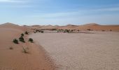 Tour Wandern M'Hamid El Ghizlane ⵎⵃⴰⵎⵉⴷ ⵍⵖⵯⵣⵍⴰⵏ امحاميد الغزلان - Campement 3 au Campement 4 - Photo 11