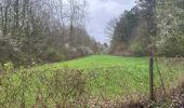 Randonnée Marche Viroinval - Nismes parcours géologique ouest 10,8 km - Photo 17