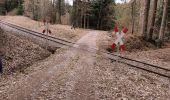 Percorso A piedi Welzheim - Mühlenwanderweg 3 - Photo 3