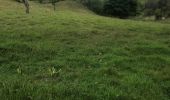 Trail Nordic walking Sainte-Anne - Belle mare - Photo 1