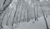 Tour Schneeschuhwandern Bouvante - Tour de Montué - Photo 3