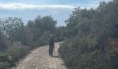 Trail Walking Rabós - Rabos effacer surplus…. - Photo 10