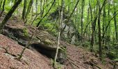 Percorso Marcia Les Planches-près-Arbois - cascade des tufs reculées des planches les belvédère la conque  - Photo 1