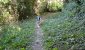 Trail Walking Argoules - Valloires  - Photo 9