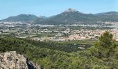 Trail Walking La Crau - château d Hyères-16-09-22  - Photo 3