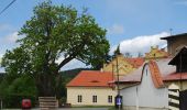 Tour Zu Fuß Plass - Okružní NS Plasy - Photo 4