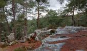 Tour Wandern Fontainebleau - Cuvier-Chatillon, Balade des Mares - Photo 5