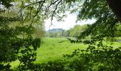 Trail Walking Bertrix - Auby sur Semois 070525 - Photo 16