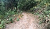Trail Trail Carcheto-Brustico - Boucle 2 de la station de trail de corse  - Photo 12