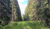 Trail Walking Spa - Bérinzenne entre fagne et forêt  - Photo 4