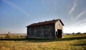 Tour Wandern Aurimont - 2020-05-17_21h44m57_le-chemin-d-en-jannet-carreau-aurimont - Photo 3