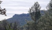 Trail On foot Le Revest-les-Eaux - tour depot de munitions-R - Photo 2