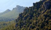 Tour Wandern La Roquebrussanne - 10844300-chapelle st andre ,grotte 400 moutons source oris - Photo 17