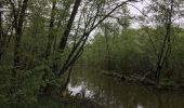 Tour Zu Fuß Mittenwalde - Rundwanderweg Töpchin - Photo 3