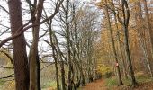 Excursión Senderismo Anthisnes - Marche ADEPS Villers aux Tours - Photo 2